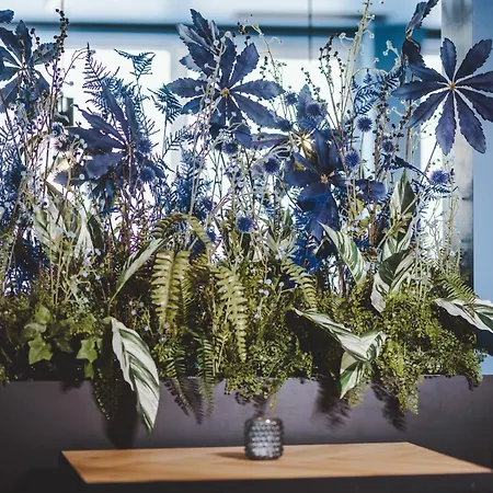 The Gast House Zell Am 4* צל-אם-זי