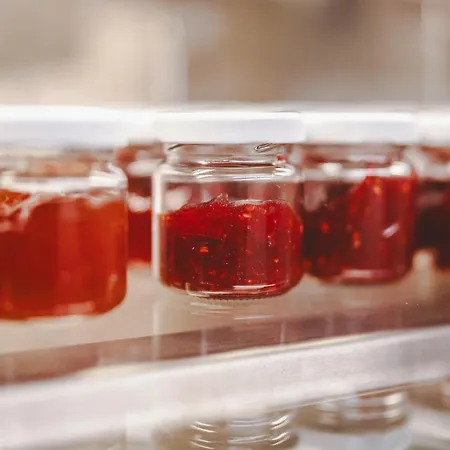 The Gast House Zell Am 4* צל-אם-זי