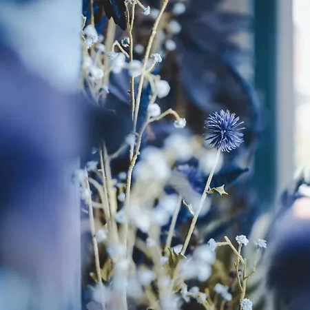 The Gast House Zell Am Hotel